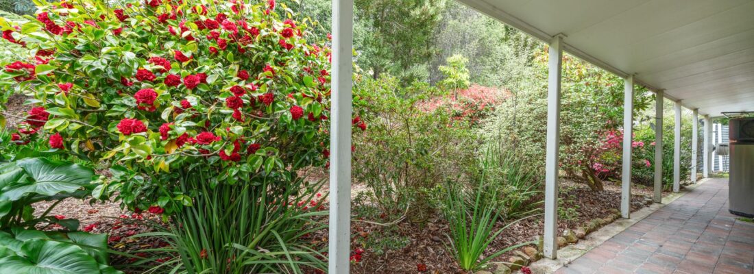 Buy real estate tasmania,Houses for sale tasmania Fall Real Estate Buy