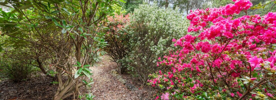 Buy real estate tasmania,Houses for sale tasmania Fall Real Estate Buy