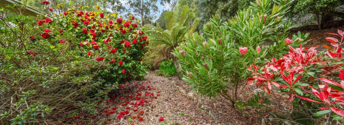 Buy real estate tasmania,Houses for sale tasmania Fall Real Estate Buy