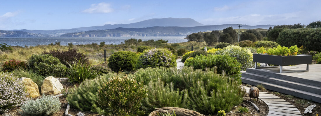 Fall Real Estate Deb Dilger