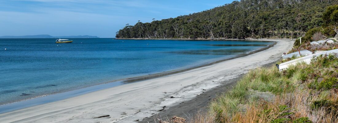 Fall Real Estate Buy