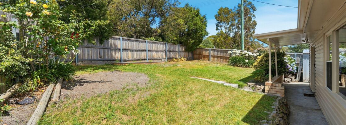 Sam Scarlett Sam Scarlett Fall Real Estate Sam Scarlett