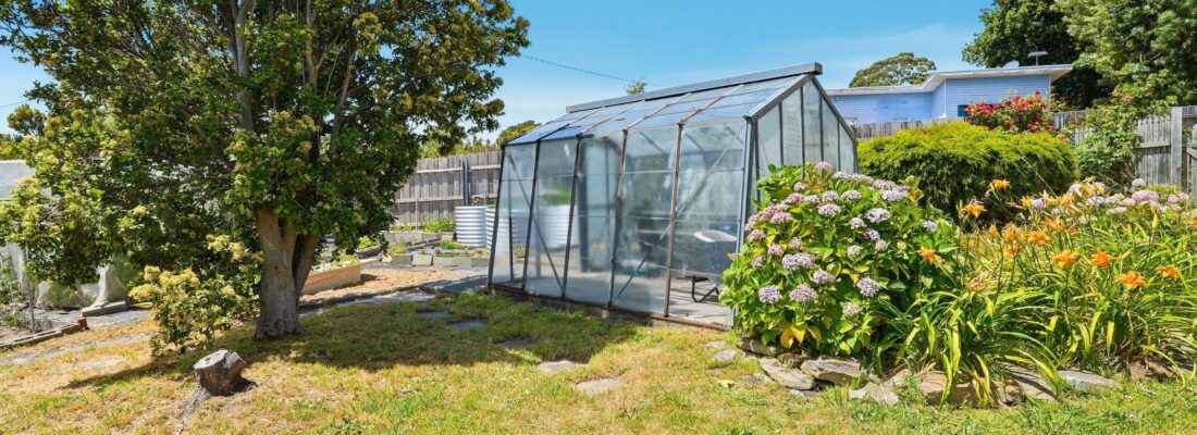 Sam Scarlett Sam Scarlett Fall Real Estate Sam Scarlett