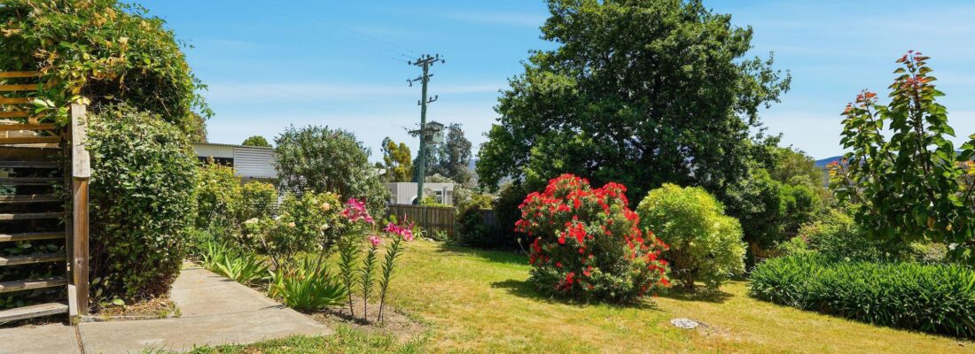 Sam Scarlett Sam Scarlett Fall Real Estate Sam Scarlett