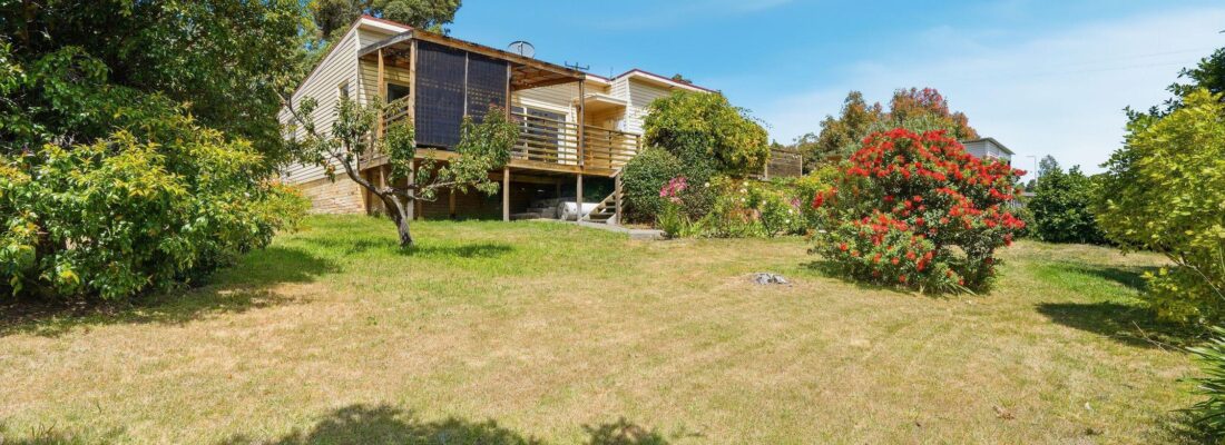 Sam Scarlett Sam Scarlett Fall Real Estate Sam Scarlett