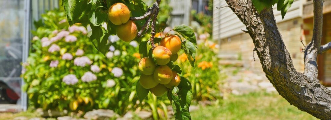 Sam Scarlett Sam Scarlett Fall Real Estate Sam Scarlett