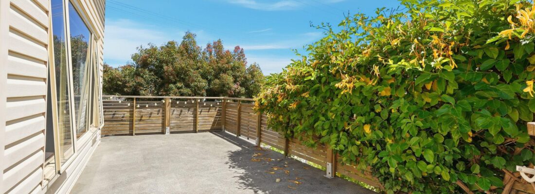 Sam Scarlett Sam Scarlett Fall Real Estate Sam Scarlett