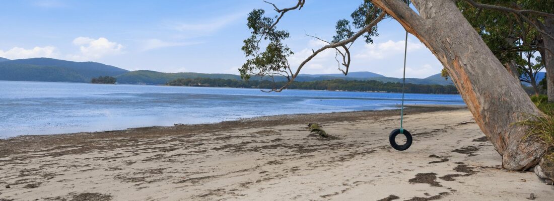 Suzanne Eaton suzanne eaton Fall Real Estate Suzanne Eaton