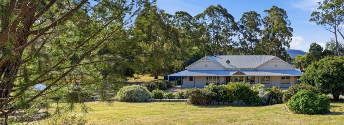 Sam Scarlett Sam Scarlett Fall Real Estate Sam Scarlett