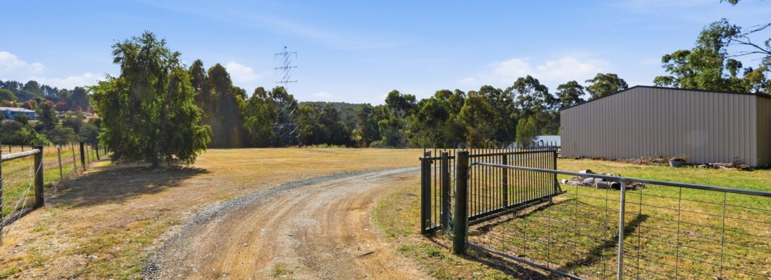 Sam Scarlett Sam Scarlett Fall Real Estate Sam Scarlett