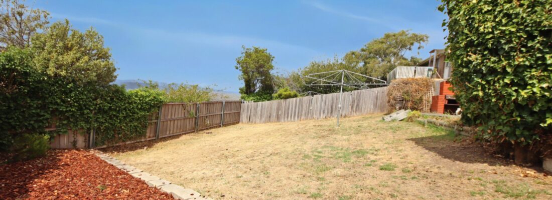 Ariel Dao Ariel Dao Fall Real Estate Ariel Dao