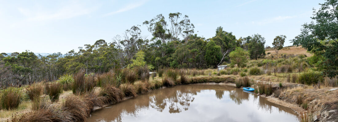 Kelly Fall & Jo Brownless Kelly Fall, Jo Brownless Fall Real Estate Kelly Fall & Jo Brownless