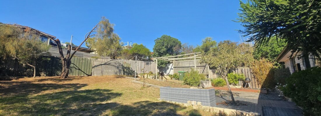 Ariel Dao Ariel Dao Fall Real Estate Ariel Dao