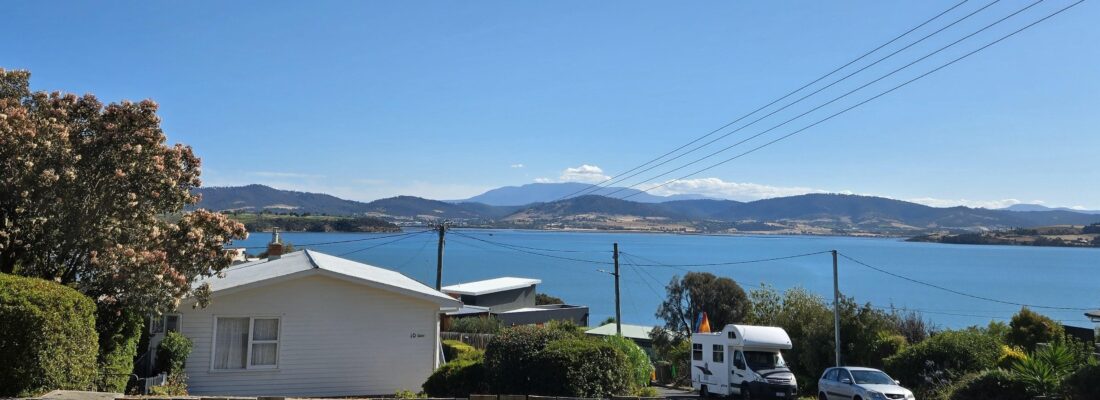 Ariel Dao Ariel Dao Fall Real Estate Ariel Dao