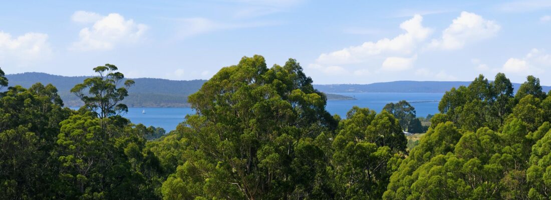 Fall Real Estate Naomi van Schie