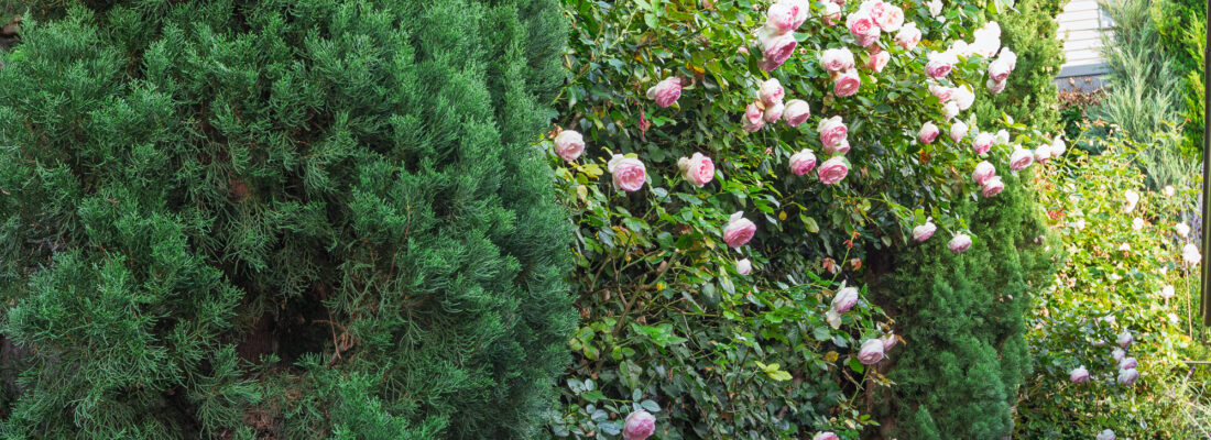 Chris Huxtable chris huxtable Fall Real Estate Chris Huxtable