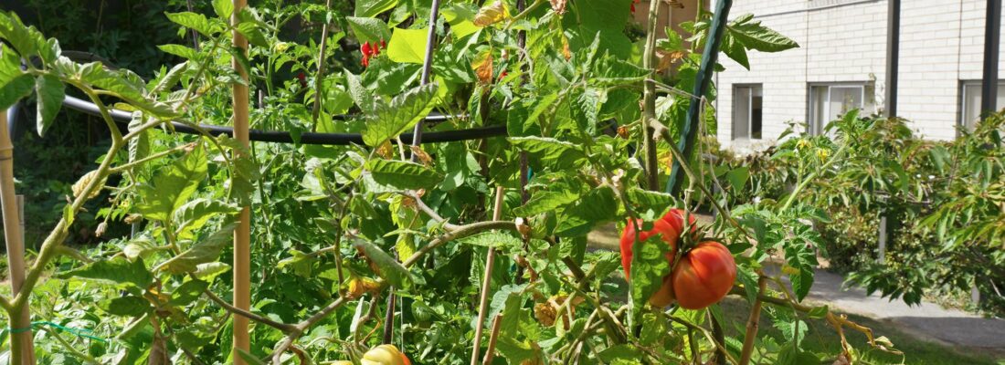 Justin Atkinson Justin Atkinson Fall Real Estate Justin Atkinson