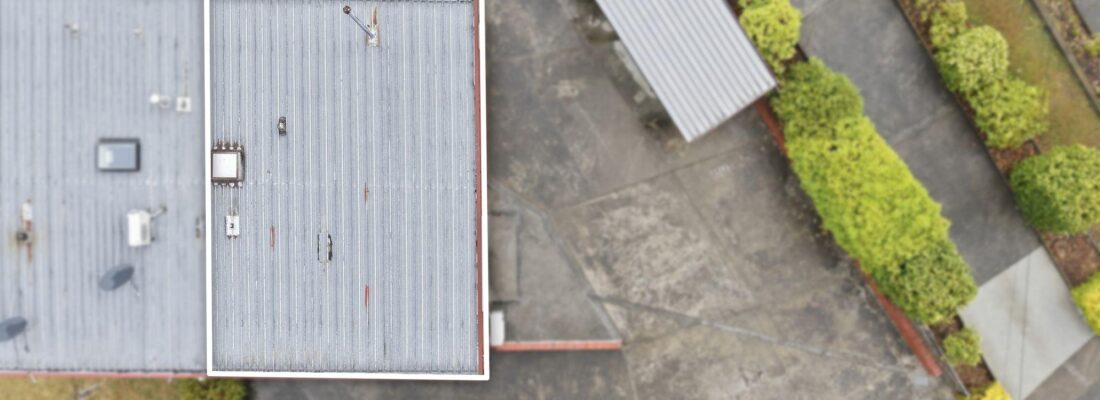 Kelly Fall & Jo Brownless Kelly Fall, Jo Brownless Fall Real Estate Kelly Fall & Jo Brownless