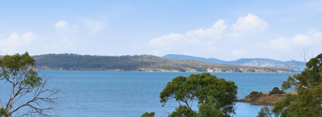 Jason Andrikonis Jason Andrikonis Fall Real Estate Jason Andrikonis