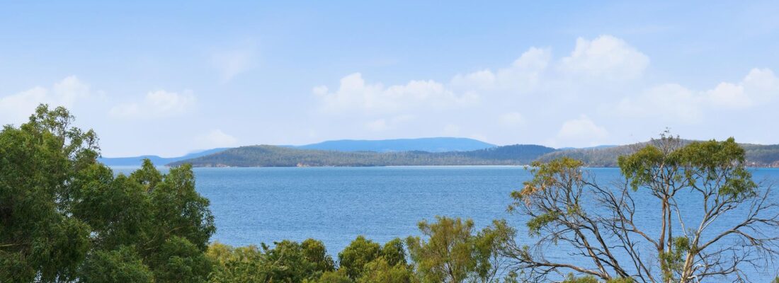 Jason Andrikonis Jason Andrikonis Fall Real Estate Jason Andrikonis