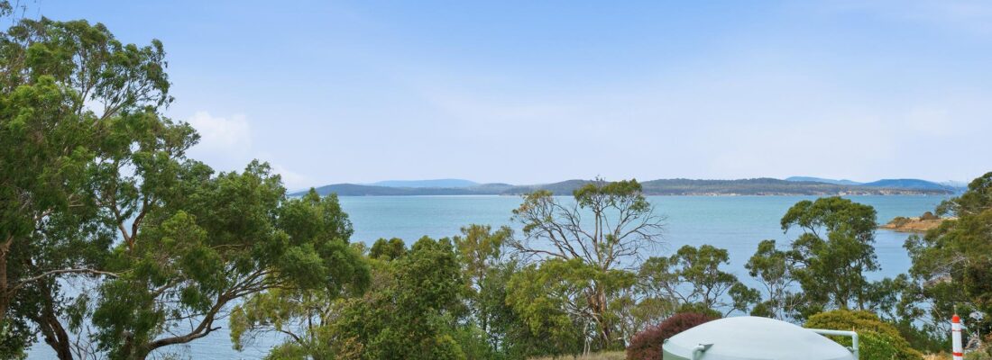 Jason Andrikonis Jason Andrikonis Fall Real Estate Jason Andrikonis