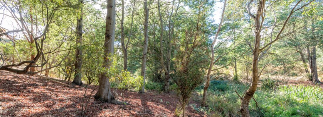 Greg Fall Greg Fall Fall Real Estate Greg Fall