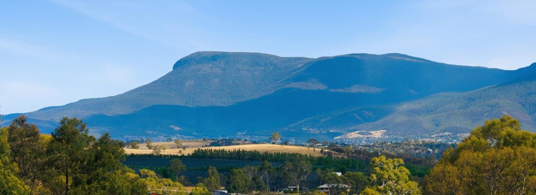 Deb Lawler Deb Lawler Fall Real Estate Deb Lawler