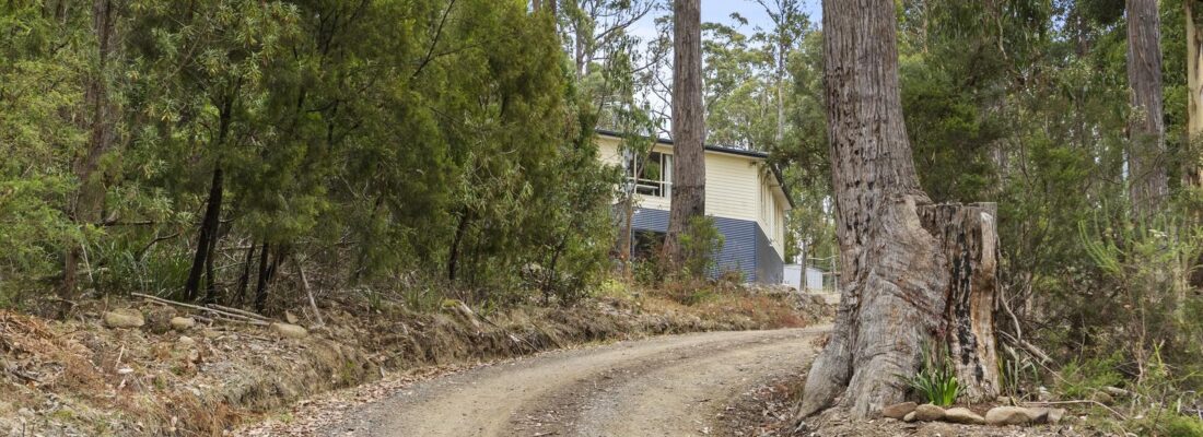 Kim Chandler-Storey Kim Chandler-Storey Fall Real Estate Kim Chandler-Storey