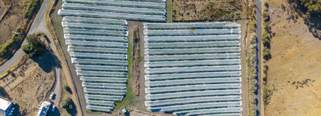 Buy real estate tasmania,Houses for sale tasmania Fall Real Estate Buy