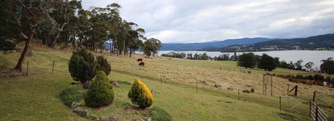 Fall Real Estate Elyse Lamprill