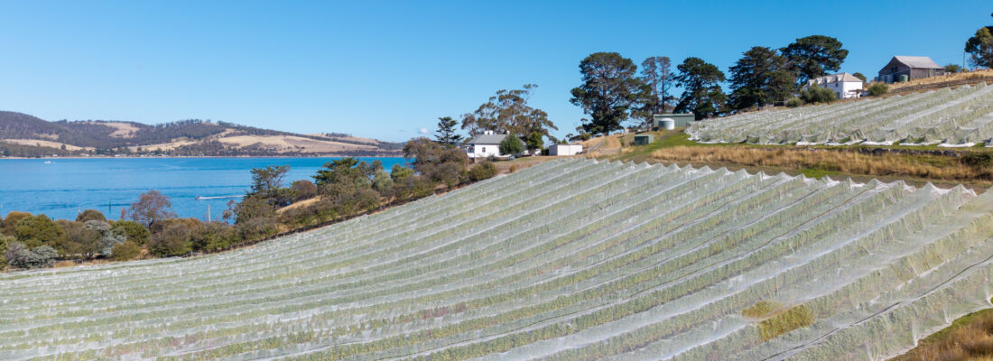 Buy real estate tasmania,Houses for sale tasmania Fall Real Estate Buy