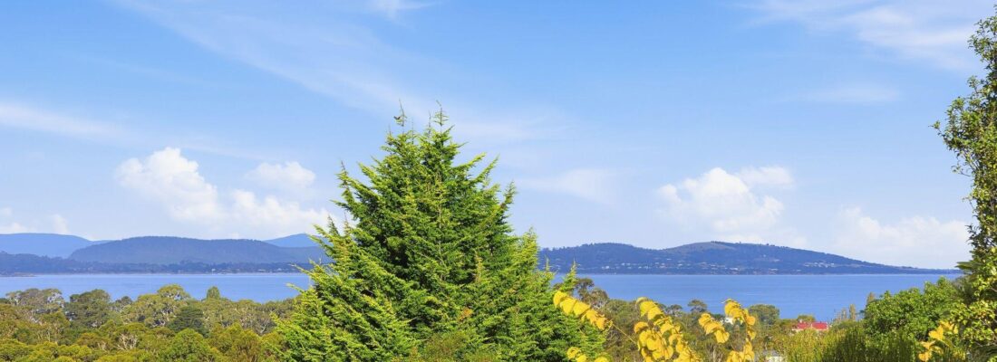 Sam Scarlett Sam Scarlett Fall Real Estate Sam Scarlett