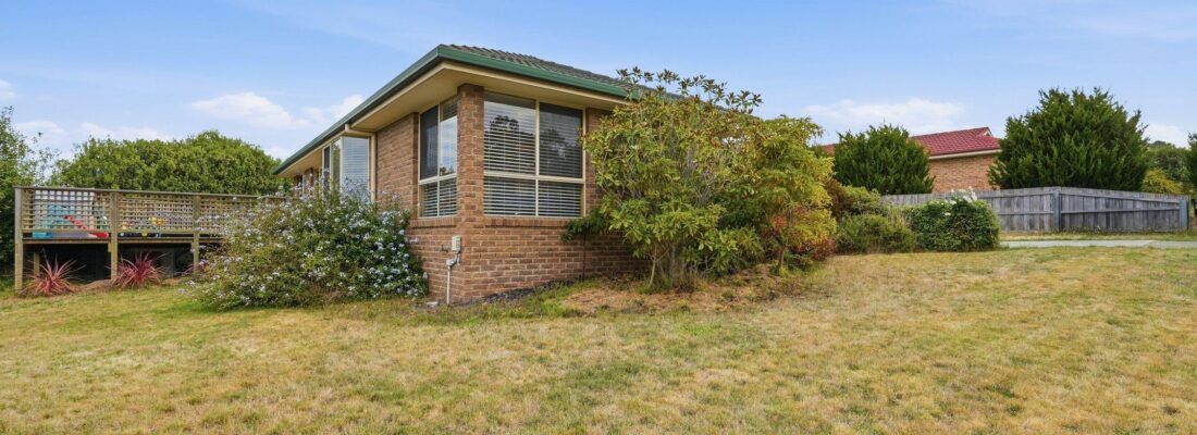 Sam Scarlett Sam Scarlett Fall Real Estate Sam Scarlett