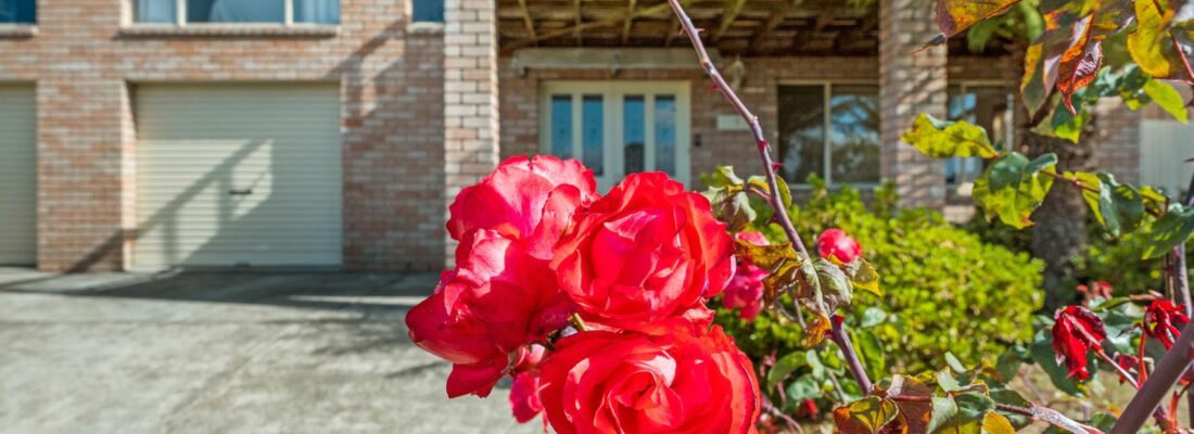 Kim Chandler-Storey Kim Chandler-Storey Fall Real Estate Kim Chandler-Storey