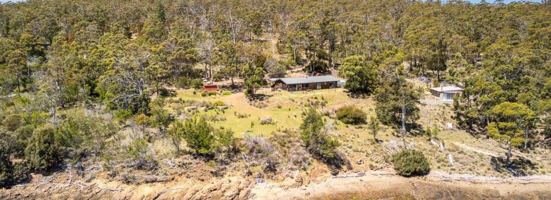 Fall Real Estate Jude Viney