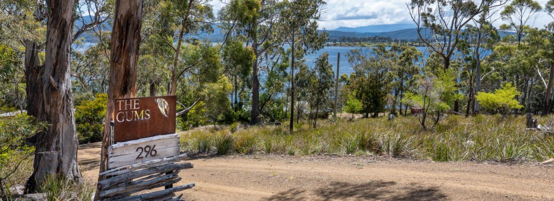 Fall Real Estate Jude Viney