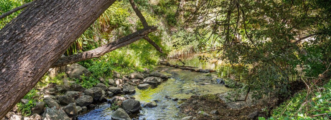 Mark Cobern Mark Cobern Fall Real Estate Mark Cobern