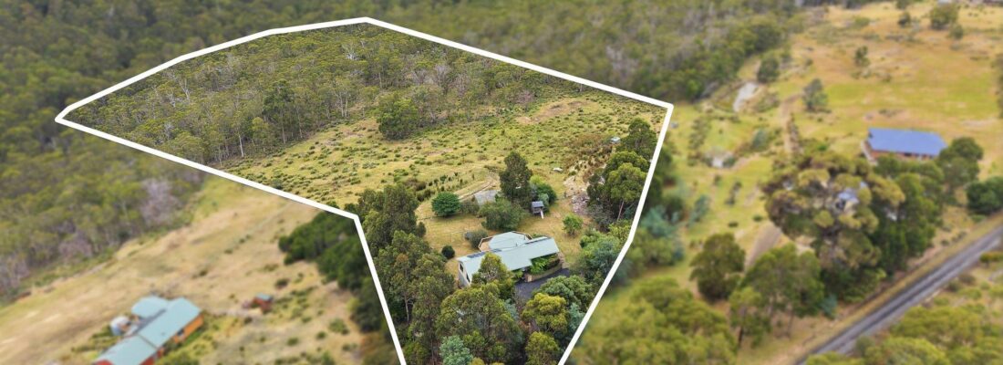 Fall Real Estate Kelly Fall & Jo Brownless