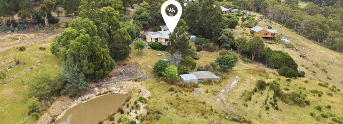 Fall Real Estate Kelly Fall & Jo Brownless