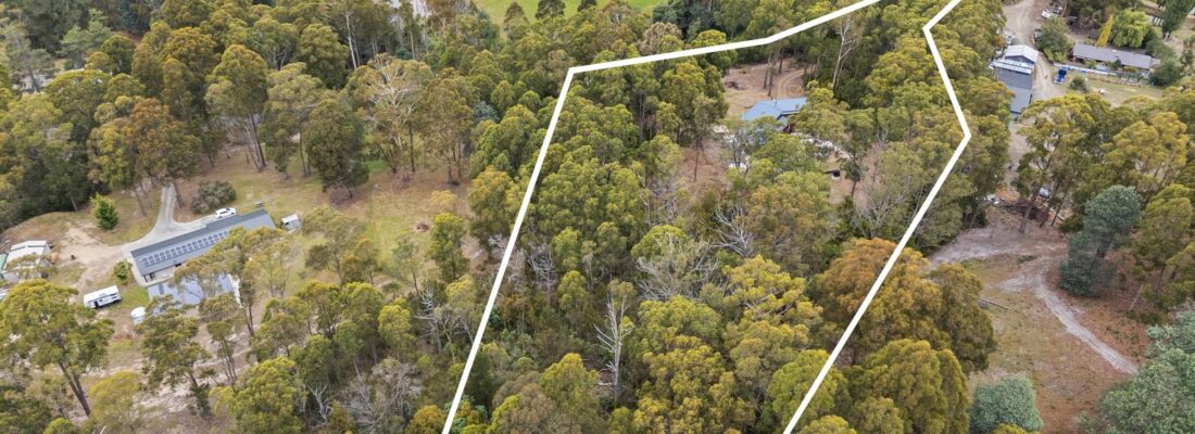 Kim Chandler-Storey Kim Chandler-Storey Fall Real Estate Kim Chandler-Storey