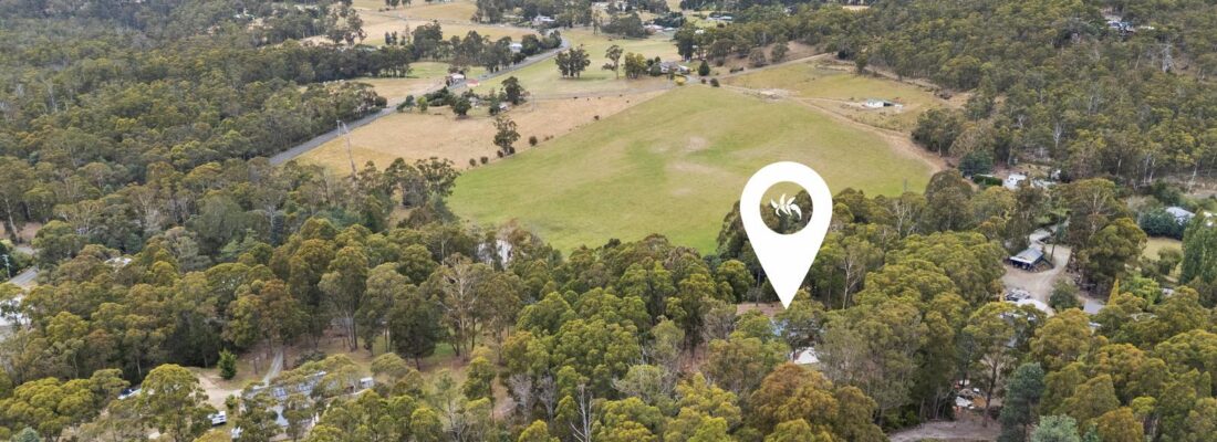 Fall Real Estate Kim Chandler-Storey