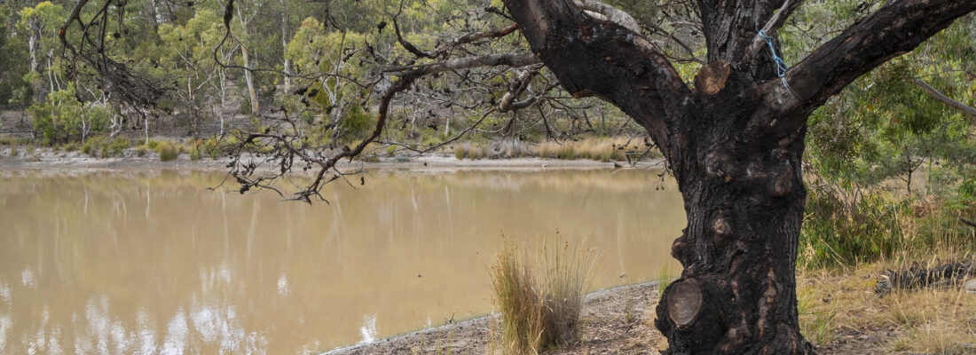 Deb Dilger deb dilger Fall Real Estate Deb Dilger