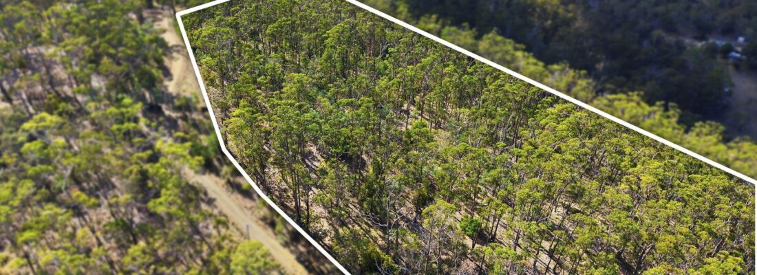 Buy real estate tasmania,Houses for sale tasmania Fall Real Estate Buy