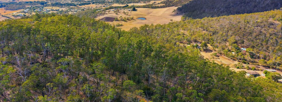 Buy real estate tasmania,Houses for sale tasmania Fall Real Estate Buy