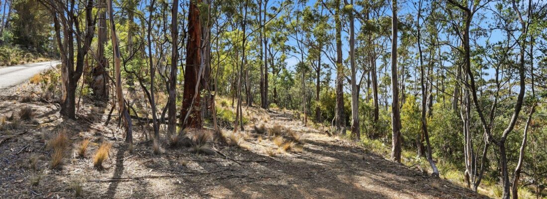 Buy real estate tasmania,Houses for sale tasmania Fall Real Estate Buy