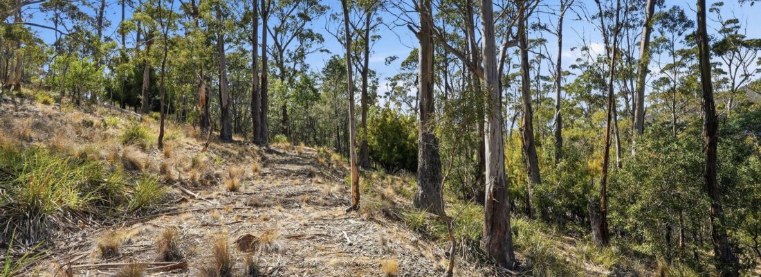 Buy real estate tasmania,Houses for sale tasmania Fall Real Estate Buy