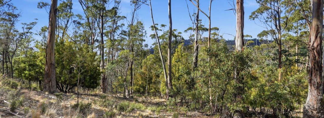 Buy real estate tasmania,Houses for sale tasmania Fall Real Estate Buy