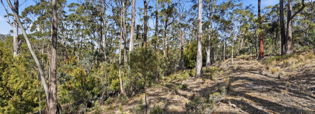 Fall Real Estate Buy