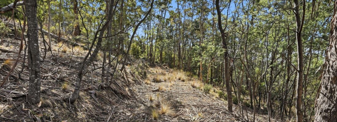 Fall Real Estate Buy