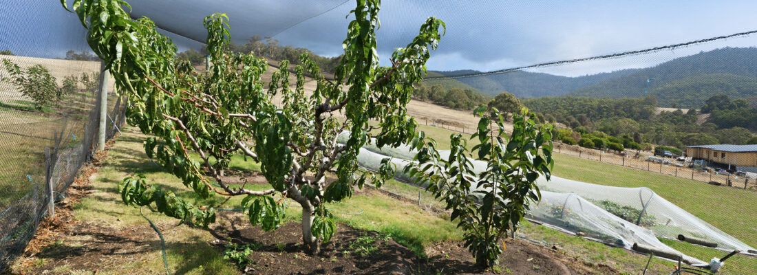 Fall Real Estate Kay Sorman